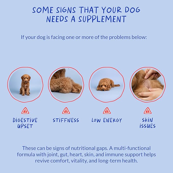 Multivitamin for Dogs - Glucosamine Chondroitin for Joint Support + Digestive Enzymes & Probiotics - Cod Liver Oil & Vitamins with Coq10 for Skin & Heart Health, Gut & Immune Support