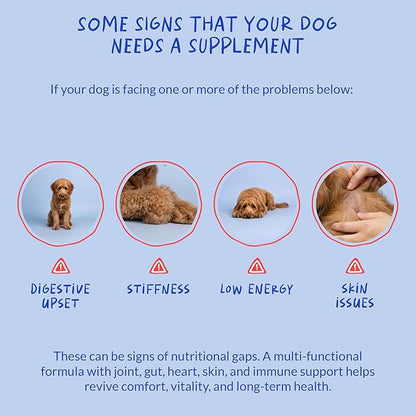 Multivitamin for Dogs - Glucosamine Chondroitin for Joint Support + Digestive Enzymes & Probiotics - Cod Liver Oil & Vitamins with Coq10 for Skin & Heart Health, Gut & Immune Support
