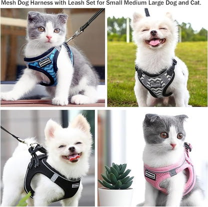 Dog Harness with Leash Set, No Pull Adjustable Reflective Step-in Puppy Pet Vest Harnesses for Small Medium Large Dogs and Cats,Green S