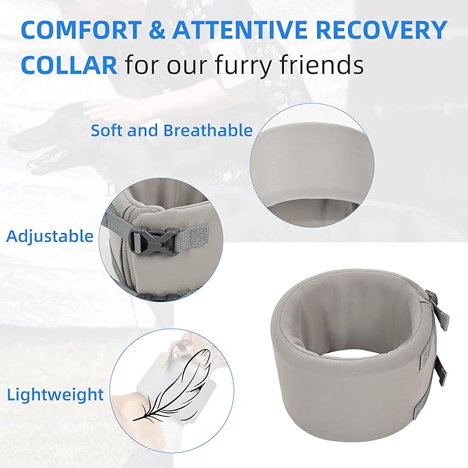 Dog Neck Brace for Pet After Surgery Recovery Adjustable Breathable Neck Cervical Cone，Dog Cone Collar Recovery Head Cone for Small Medium Dogs Puppies Kittens with Spinal IVDD Lssues (Gray,L)