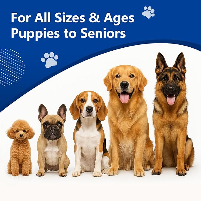 Natural Antibiotics for Dogs - Organic Herbal Supplement Liquid Drops for Immune Support, Allergies Relief, Skin & Coat Health, Digestion, UTIs, Skin Infections & Kennel Cough - All Breeds & Ages