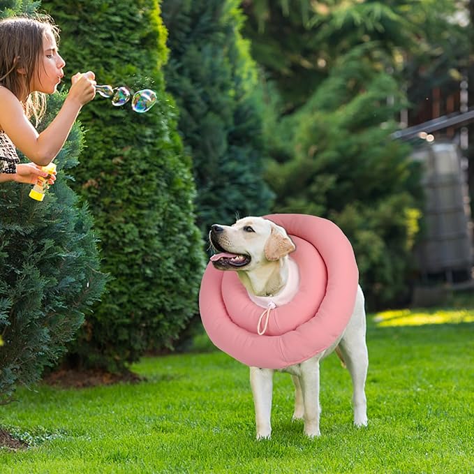 Soft Dog Cone for Small Medium Dogs and Cats, Dog Recovery Collar, Waterproof Elizabeth Collar Alternative After Surgery, Comfy Protective Neck Donut, Adjustable Pet Collar Anti-Licking Biting Wounds