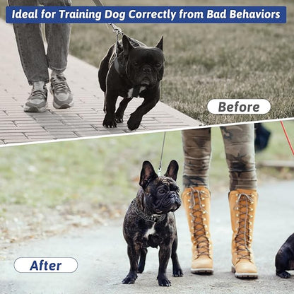 Pinch Collar for Dogs, Prong Training Collar with Quick Release Buckle for Dog Pulling Behavior Correction, Adjustable Pinch Leashes (M/L / 18-23" Neck Size)