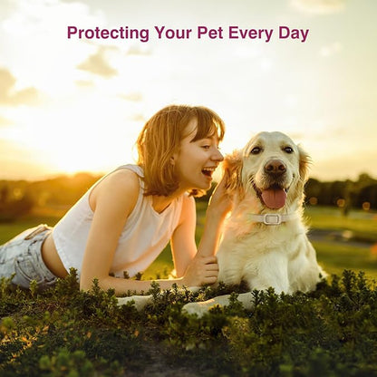 Natural Flea and Tick Collar for Dogs - 4 Pack, 8 Months Long-Lasting Protection, Waterproof, Adjustable Size for Small Medium and Large Dog
