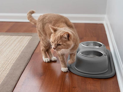 WeatherTech Double High Pet Feeding System - Elevated Dog/Cat Bowls - 4 inch High Dark Grey (DHC1604DGDG)