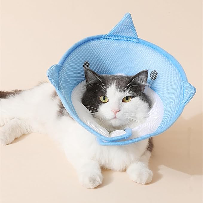 alfyng Elizabethan Dog Neck Collar Cute Shark Shape Dog Cone for Dogs Cats After Surgery Comfy Soft Pet Recovery Collar & Cone for Small Dogs Or Cats (S)