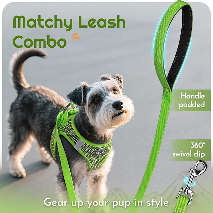 Eagloo Small Dog Harness and Leash Set, Step in Puppy Vest with Breathable Soft Mesh, Walking Reflective Pet Harness for Medium Small Dogs, Green, L
