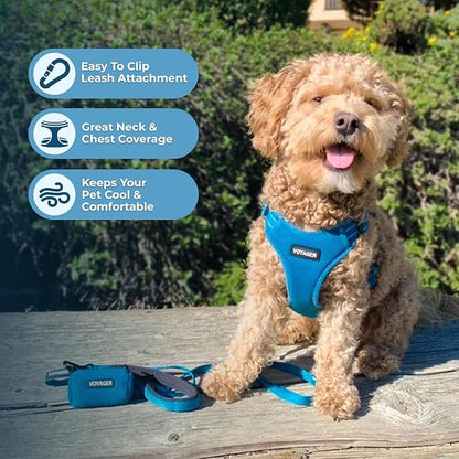 Best Pet Supplies Voyager Adjustable Step-in Flex Breathable Mesh Dog Harness for Small Medium Large Dogs (Turquoise), S