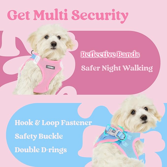 rabbitgoo Small Dog Harness, Step-in Soft Mesh Puppy Vest with Safety Buckle, Breathable Reflective Pet Harness for Small Sized Dogs, Blue & Light Pink M