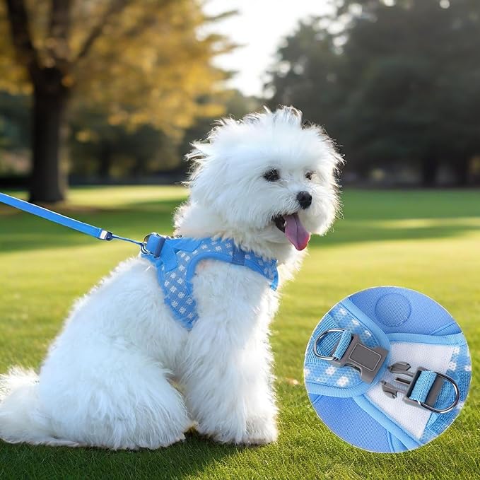 Soft Mesh Dog Harness and Leash Set, Step-in Escape Proof Vest Harnesses, Reflective Breathable Pet Harness Adjustable Plaid Pet Outdoor Harnesses for Small and Medium Dogs, Blue M