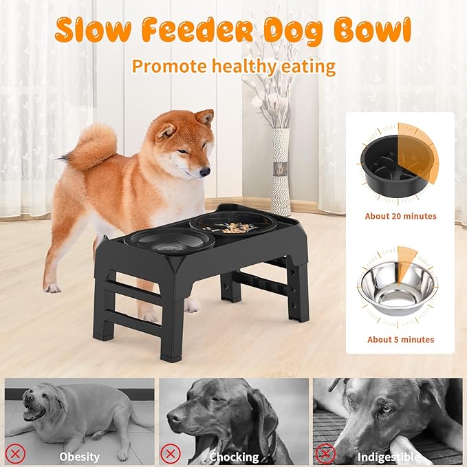 URPOWER Raised Dog Bowls 4 Height Adjustable Elevated Bowl Stand with Stainless Steel Water Bowl Non-Slip Dog Food Bowls Stand for Small Medium Large Dogs and Pets