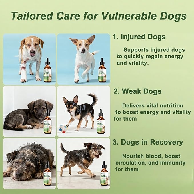 Natural Antibiotic for Dogs – Chicken Flavor 2oz | Supports Relieve Skin Allergy itching and Yeast infections, Urinary Tract Health, Wound Healing & Dental Care |Dog Supplements, Safe for All Ages