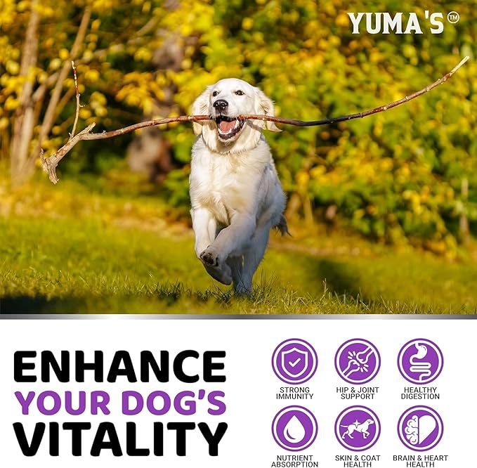 Dog Multivitamin Chewable with Glucosamine - Dog Vitamins and Supplements - 165 Treats - Senior & Puppy Multivitamin for Dogs - Hip & Joint Support - Immune Health, Skin, Heart, Digestion, Probiotics