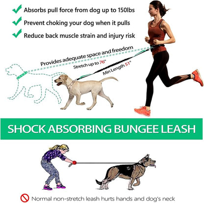 LANNEY Hands Free Dog Leash, Waist Running Leash with Zipper, Walking Pouch for Medium Large Dogs, Dual Handle and Retractable Bungee for Training Jogging Hiking(25-120 lbs, Teal)