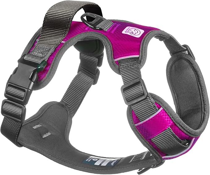 Embark Adventure No-Pull Small Dog Harness – Reflective Trim, Military-Grade Nylon, Front Clip with Gel-Lined Handle