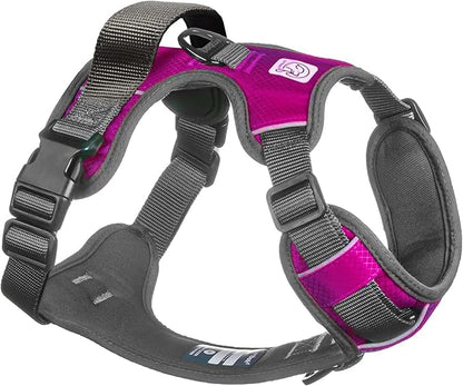 Embark Adventure No-Pull Small Dog Harness – Reflective Trim, Military-Grade Nylon, Front Clip with Gel-Lined Handle
