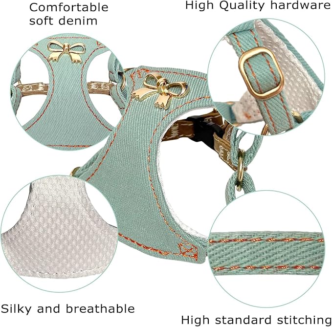 No Pull Dog Harness and Leash Set for Small Sized Dog Training Puppy Harnesses with Multifunction Dog Leash, Soft Adjustable Denim No Choke Escape Proof Pet Harness for Small and Medium Dog (Teal XXS)