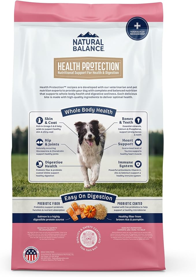 Natural Balance Health Protection Dry Dog Food – Whole Body Health, Easy on Digestion Dog Food Made with Salmon, Brown Rice & Pumpkin for Dogs - 22lbs.