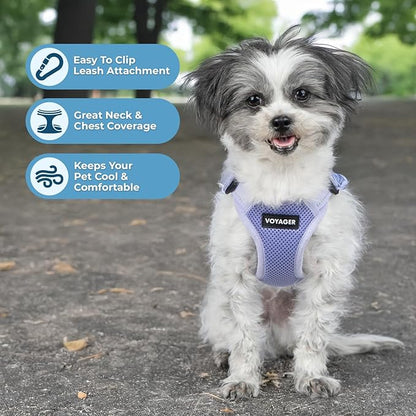 Best Pet Supplies Voyager Adjustable Step-in Flex Breathable Mesh Dog Harness for Small Medium Large Dogs (Lavender), S