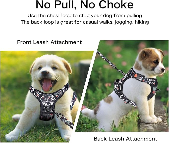 Petmolico No Pull Dog Harness Set with Leash Attachment Easy Control Handle Reflective Harness Vest Small Breed, Puppy Vest and Leash Set with Poop Bag Holder, Medium - Rainforest Flower