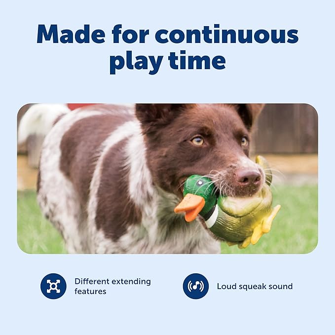 PetSafe Busy Buddy Latex Squeeze Meeze Raccoon, Fun Squeeze Dog Toy with Squeaker - Duck