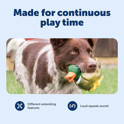 PetSafe Busy Buddy Latex Squeeze Meeze Raccoon, Fun Squeeze Dog Toy with Squeaker - Duck
