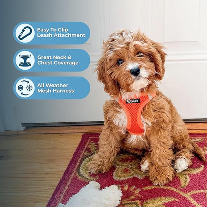 Best Pet Supplies Voyager Step-in Air All Weather Mesh Harness and Reflective Dog 5ft Leash Combo with Neoprene Handle, for Small, Medium and Large Breed Puppies - Set (Orange), Small