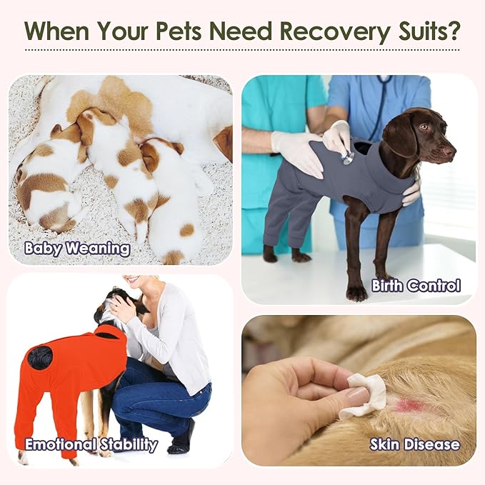 KOESON Dog Recovery Suit Hind Leg, Recovery Sleeve for Female Male Dogs, Pet Leg Sleeve to Stop Licking, Pet Rear Leg Wound Cover, Dog Spay Onesie for Wound Heal Care