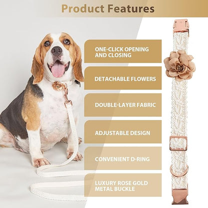 Small Dog Collar and Leash Set Cotton Lace Handmade Embroidered Puppy Cat Pet Collar with Bow Flowers for Wedding Birthday Party,S