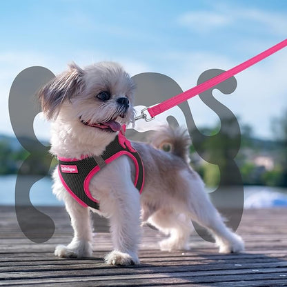 rabbitgoo Dog Harness Small Sized and Leash Set, Step-in Breathable Pet Harness, Soft Walking Reflective Puppy Vest for Small Dogs, Black & Rose Red, XS