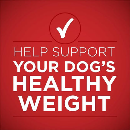 Purina ONE Plus Tender Cuts in Gravy Healthy Weight Lamb and Brown Rice Entree in Wet Dog Food Gravy - (Pack of 12) 13 oz. Cans