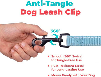 Best Pet Supplies Voyager Reflective Dog Leash or Collar with Neoprene Handle, for Small, Medium, and Large Breed Puppies, Cute and Heavy Duty for Walking, Running and Training - Baby Blue (Leash), M