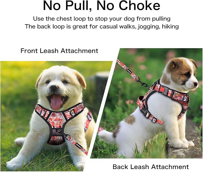 Petmolico No Pull Dog Harness Set with Leash Attachment Easy Control Handle Reflective Harness Vest Small Breed, Puppy Vest and Leash Set with Poop Bag Holder, XS - Boho Floral