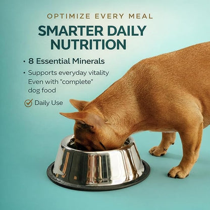 for Dogs Multivitamin & Mineral Supplement, Veterinarian Recommended Vitamin-Mineral Nutritional Support, Daily Chewable Tablets for Skin Coat Energy & Overall Wellness, 60 Chewable Tablets (4.2 oz)