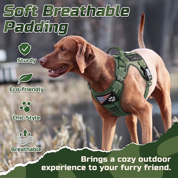 rabbitgoo Tactical Dog Harness Medium Sized Dog, No Pull Military Service Vest with Handle & Molle, Easy Control for Training Walking, Adjustable Reflective Straps, Green, M