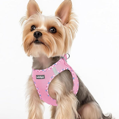 rabbitgoo Small Dog Harness, Step-in Soft Mesh Puppy Vest with Safety Buckle, Breathable Reflective Pet Harness for Small Sized Dogs, Pink & Plaid Trim XS