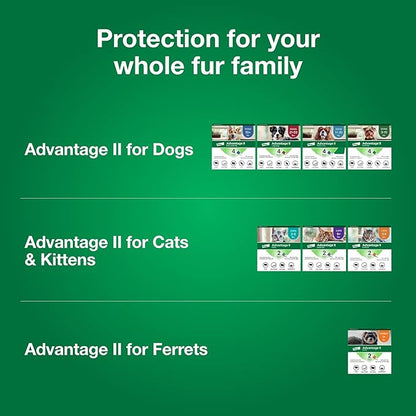 Advantage II Ferret Vet-Recommended Flea Treatment & Prevention | Ferret 1+ lbs. | 2-Month Supply