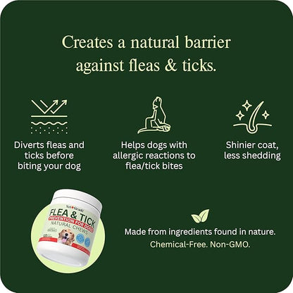 Chewable Flea and Tick Prevention for Dogs - 120 Chews (Beef) - Vet-Recommended Natural Supplement - Made in USA - Oral Dog Flea and Tick Treatment Treats for All Breeds & Sizes - VetGrade™