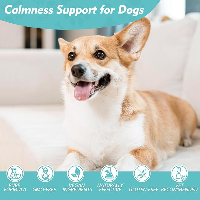 Ashwagandha Drops for Dogs, Calming Drops for Dogs with Ashwagandha Tincture, Supports Composure, Calmness, Relaxation & Emotional Balance, Dog Anxiety Relief from Fireworks, Storms, Separation & More