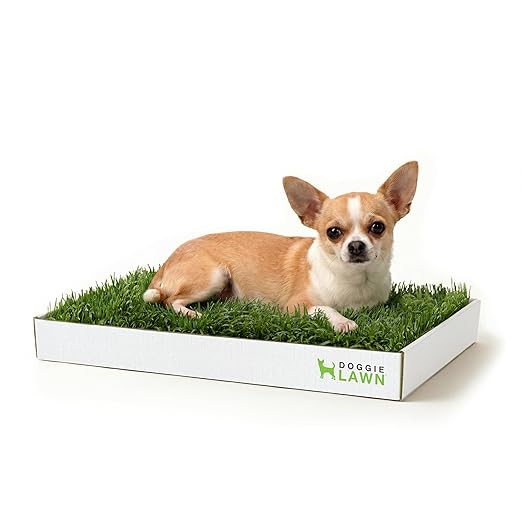 DoggieLawn Real Grass Puppy Pee Pads- 24 x 9 Inches - Perfect Indoor Litter Box for Dogs - No Mess, Easy-to-Use - Potty Training for Pets - Eco-Friendly Disposable Bathroom with Real Living Grass