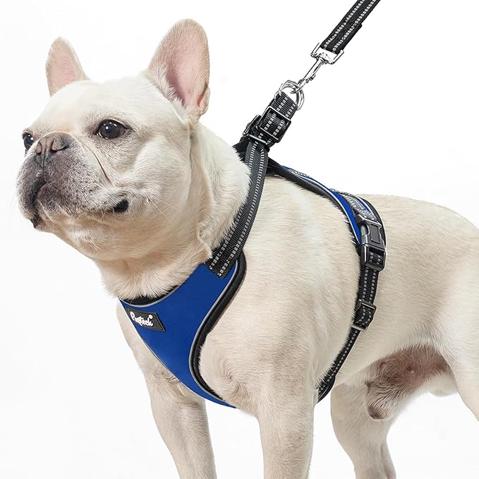 PUPTECK Dog Harness and Leash Set Medium Sized, Adjustable Reflective Escape Proof Puppy Vest, No Pull Walking Harness Easy Control