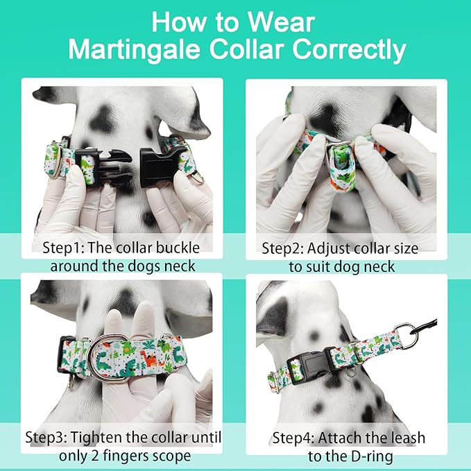 Martingale Dog Collars with Buckle No Pull Training Dog Collar for Small Dogs (Green Dinosaur, Small)