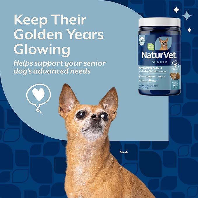 NaturVet Senior Advanced 5-in-1 Support Dog Supplement – Helps Support Immune System, Heart, Liver, Cognitive Function, Eye Health – Includes Ginkgo Biloba, Lutein – 60 Ct.