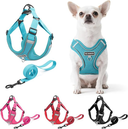 Dog Harness and Leash Set, Adjustable Triangle, Reflective Adjustable Puppy Vest, No Pull Soft Mesh Harness for Small, Medium Dogs, Cats (Turquoise, M)