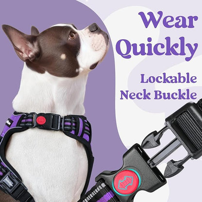 rabbitgoo Dog Harness Medium Sized, No Pull Pet Harness with 3 Buckles, Adjustable Soft Padded Vest with Control Handle, Walking Reflective Pet Vest for Medium Dogs, Purple, M