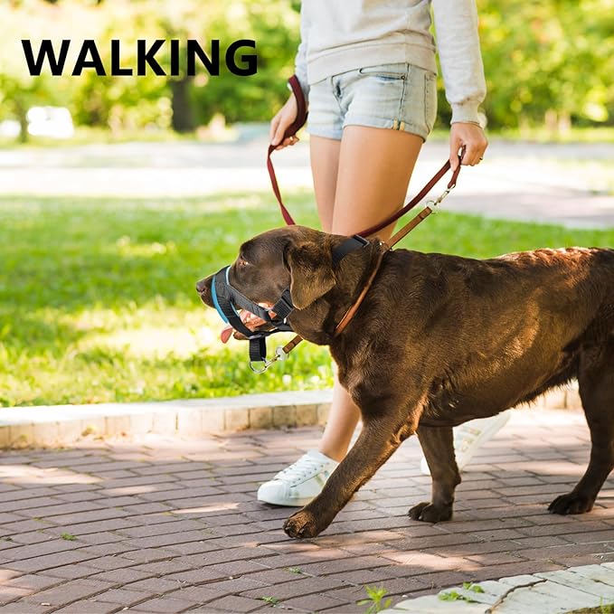 Dog Head Collar with Soft Fabric, Head Harness Stops Dog Pulling, Head Leash for Small Medium Large Dogs Walking (S,Apple Green)