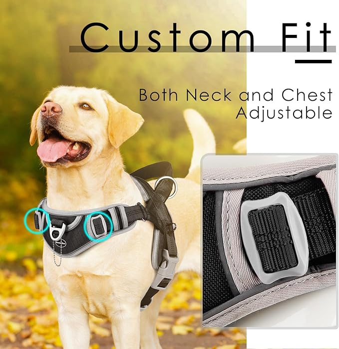 ADVENTUREMORE Medium Dog Harness - No Pull, Adjustable Reflective Vest with Front Clip Handle for Training & Walking - Black