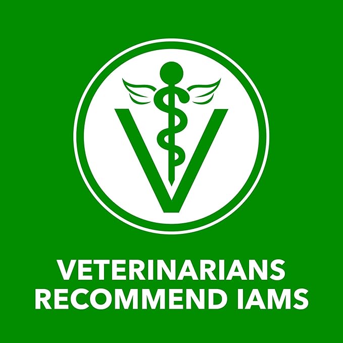 IAMS Proactive Health Wet Dog Food Adult, Canned Dog Food, Lamb Chunks in Gravy, 13 oz. Cans, Pack of 12