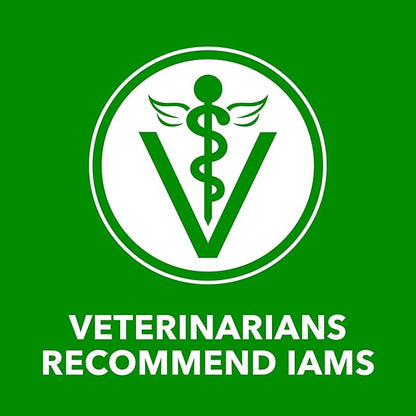 IAMS Proactive Health Wet Dog Food Adult, Canned Dog Food, Lamb Chunks in Gravy, 13 oz. Cans, Pack of 12