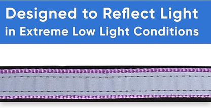 Pawtitas Lumberjack Padded Martingale Collar for Dogs | Soft Neoprene Dog Collar for Your pet's Comfort Made with Reflective Band for Maximum Visibility | Fits Small and Large Pets - Medium Orchid